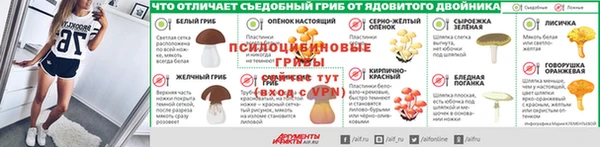 ГАЛЛЮЦИНОГЕННЫЕ ГРИБЫ Медногорск