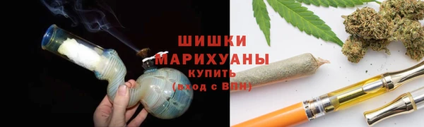 ГАЛЛЮЦИНОГЕННЫЕ ГРИБЫ Медногорск