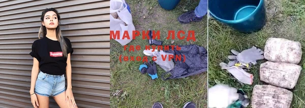 ГАЛЛЮЦИНОГЕННЫЕ ГРИБЫ Медногорск