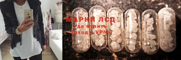 ГАЛЛЮЦИНОГЕННЫЕ ГРИБЫ Медногорск